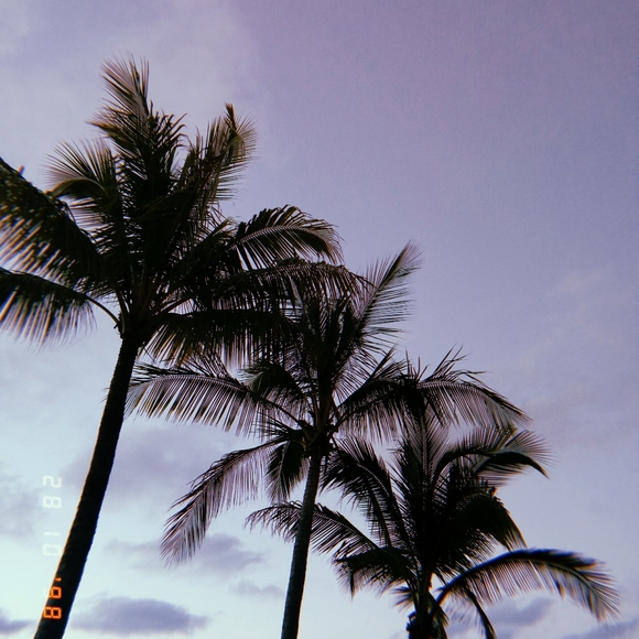 Meet your Posher, Bittersweetsouls - Picture 11 of 14